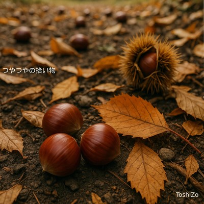 つやつやの拾い物のジャケット写真