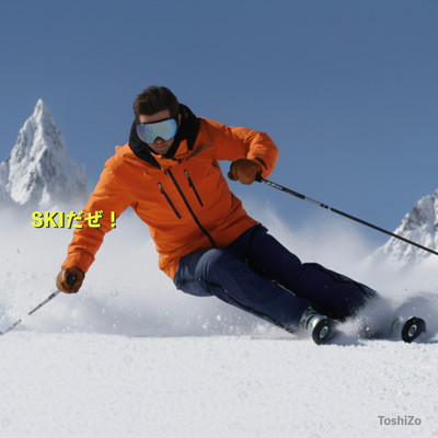 SKIだぜ!のジャケット写真