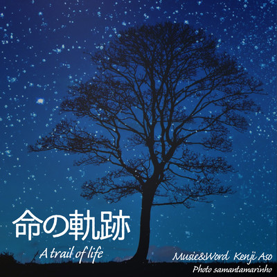 A trail of life (feat. Ryo) Front Cover