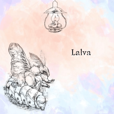 Larva Front Cover