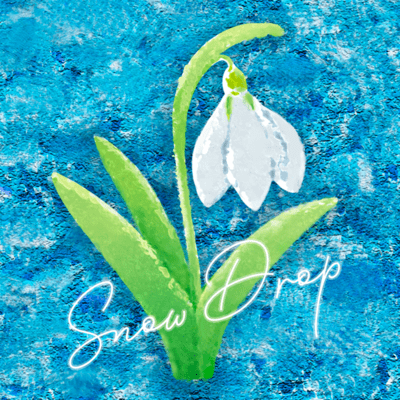 Snow Drop Front Cover