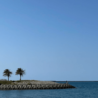 Tropical Island Front Cover