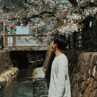 桜隠しのジャケット写真