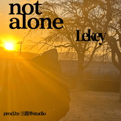 not aloneのジャケット写真