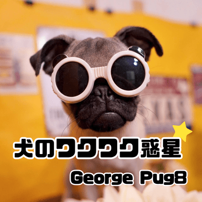 犬のワクワク惑星のジャケット写真