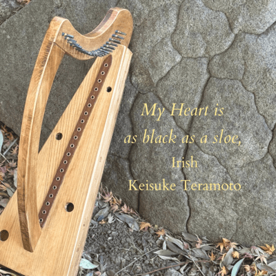 Ta mo chroidhe chómh chíar dubh le h-áirne. My Heart is as black as a sloe, Irish Front Cover