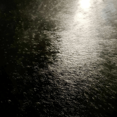 感謝の言葉のジャケット写真