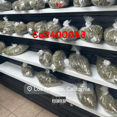 Ca2400063 Front Cover