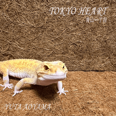 TOKYO HEART Aoyama icchoume Front Cover