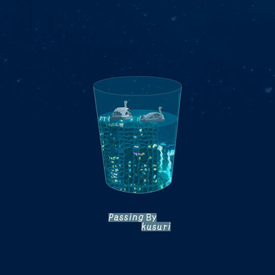 Passing by Front Cover