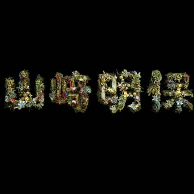 山崎明保のジャケット写真