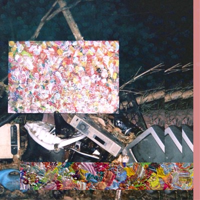 Dead flower be living Front Cover