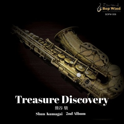 Treasure Discoveryのジャケット写真
