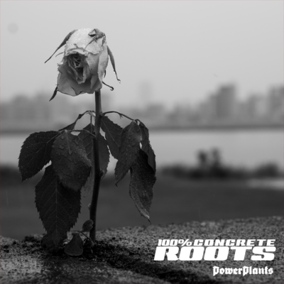 100% CONCRETE ROOTS Front Cover