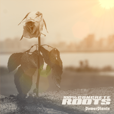 100% CONCRETE ROOTS (Original) Front Cover