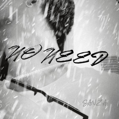 NO NEED.のジャケット写真