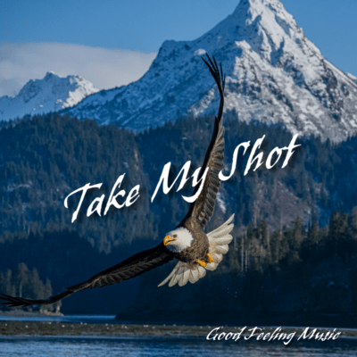 Take My Shot Front Cover