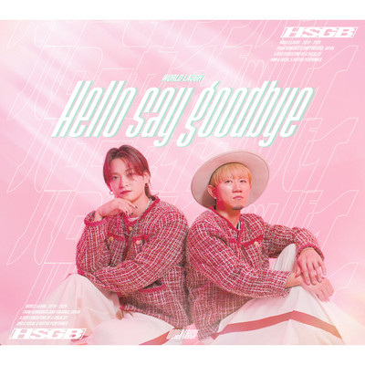 Hello say goodbye Front Cover