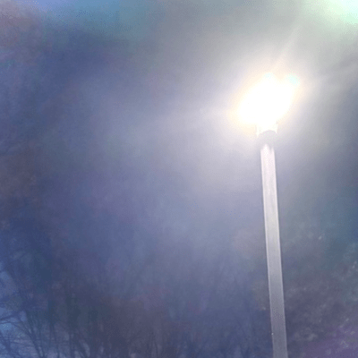 Lost Barker Front Cover