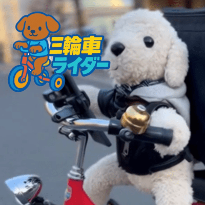 Tricycle Rider Front Cover