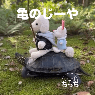 Jiya the Turtle Front Cover