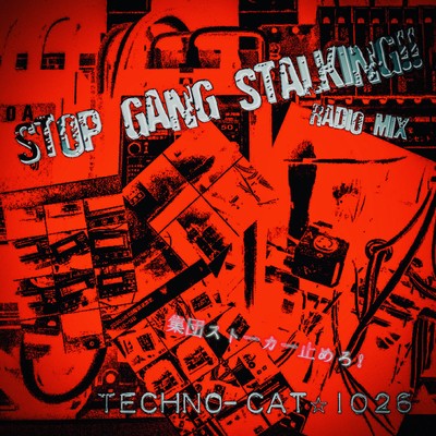 STOP GANG STALKIG!! (RADIOMIX)のジャケット写真
