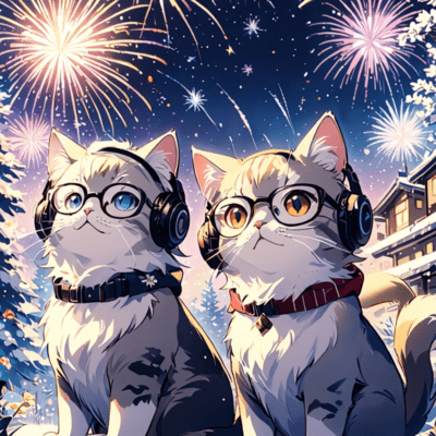 Winter Fireworks Front Cover