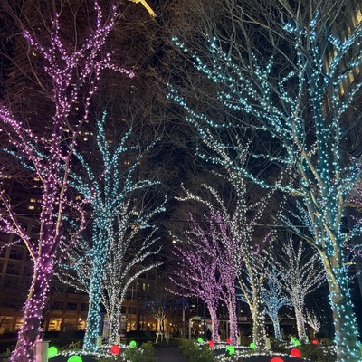 ILLUMINATE (feat. moxon & Chestar)のジャケット写真