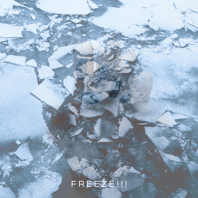 freeze!!! Front Cover