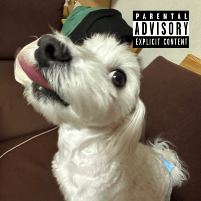 Don't cry Front Cover