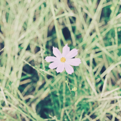 wake (Demo) Front Cover