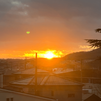 許すのジャケット写真