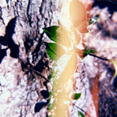 Good Morning Front Cover