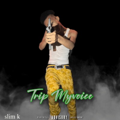 Trip MyVoice Front Cover