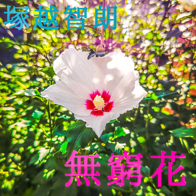 Rose of Sharon Front Cover