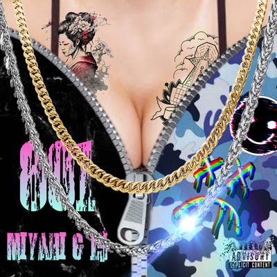 不適合宣言のジャケット写真