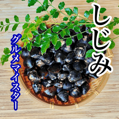 freshwater clam Front Cover