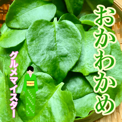 Anredera cordifolia Front Cover