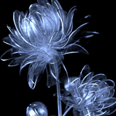 want to be happy (feat. u7) Front Cover