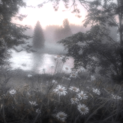 want to be happy Front Cover