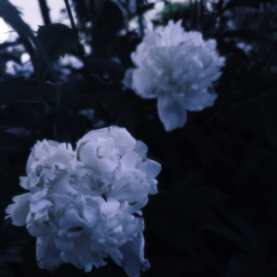 past memories ft.u7 Front Cover