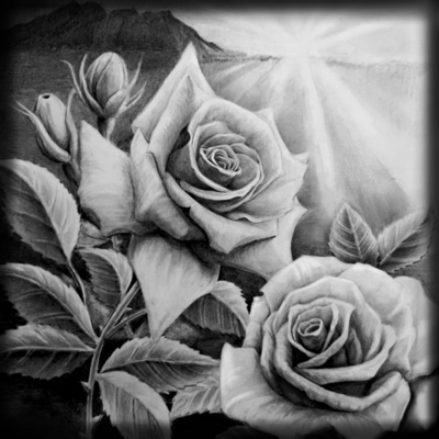 Live Honestly Front Cover