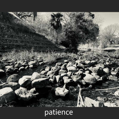 patience Front Cover