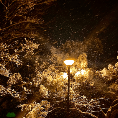 Brown Life Front Cover