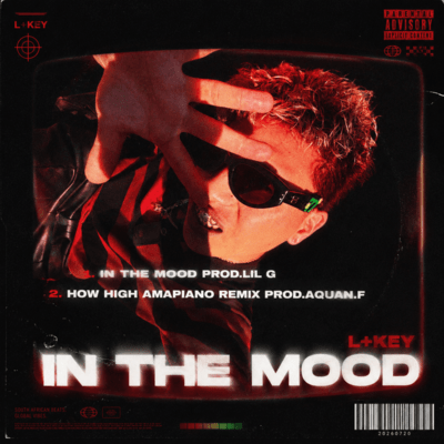 IN THE MOODのジャケット写真