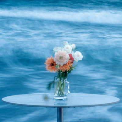 Flower Shop Front Cover