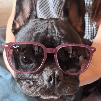 ROY~ほめて欲しいだけ~のジャケット写真