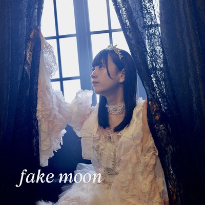 fake moon Front Cover