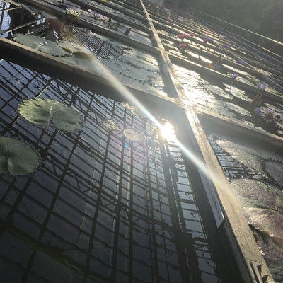 Rainのジャケット写真