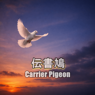 伝書鳩のジャケット写真